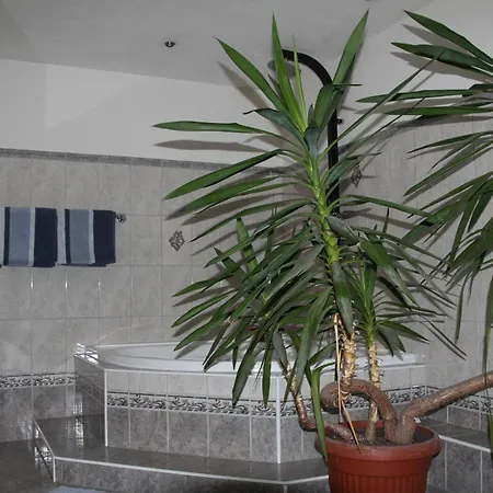 Fuer Bis Zu 8 Personen דירה *